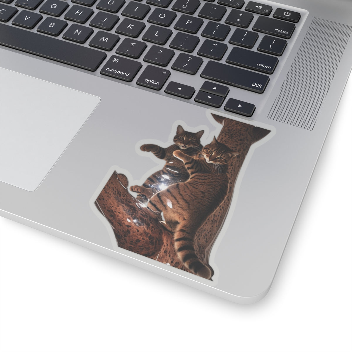 Kitty Sticker