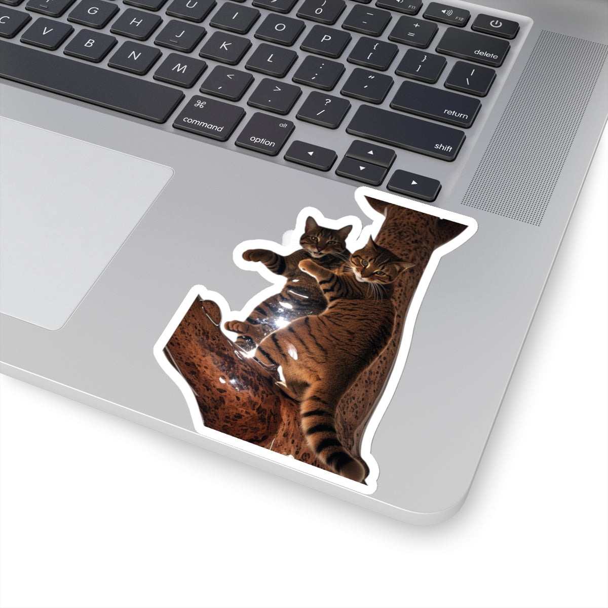 Kitty Sticker