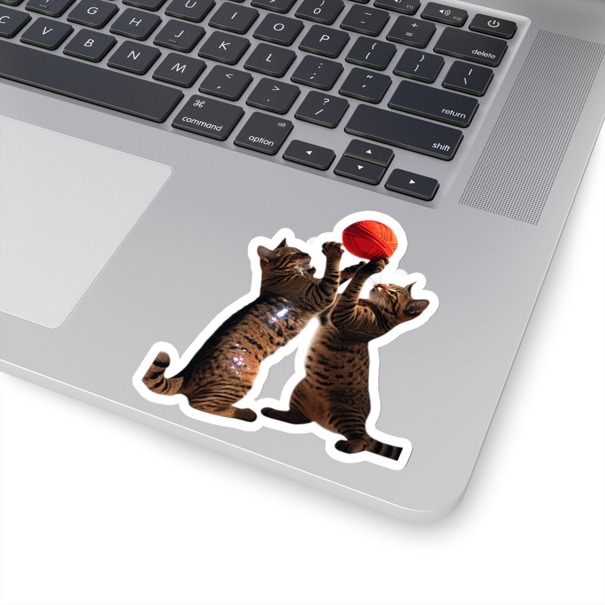 Kitty Sticker 2